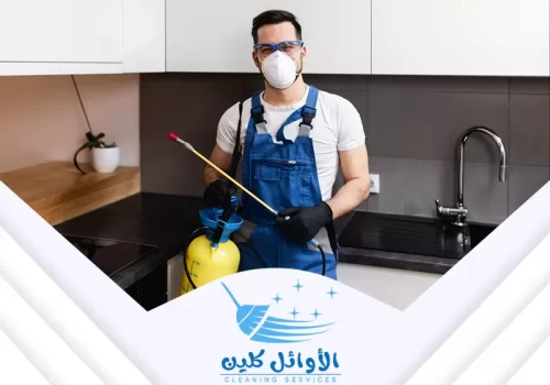 مكافحة حشرات المنزل بالرياض تشمل استخدام أساليب متقدمة ومواد آمنة للقضاء على الحشرات بكفاءة